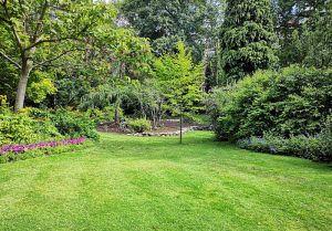 Optimiser l'expérience du jardin à La Chapelle-du-Bourgay